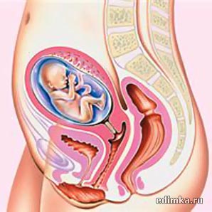 18 ������ ������������ ����